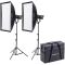 NANLITE FS-300B Lighting Kit (2Kit-S-LS-1)