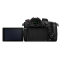 Panasonic LUMIX GH5 II Body (DC-GH5M2E)