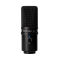 Zoom ZUM-2 Dynamic Large Diaphragm USB Microphone